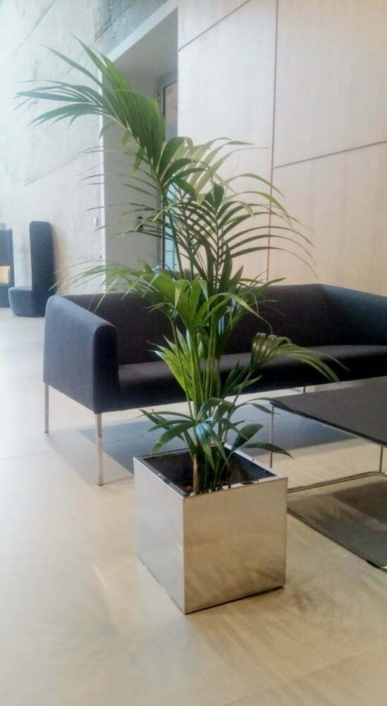 Donica Mirror 500 x 500 mm 74.103.50