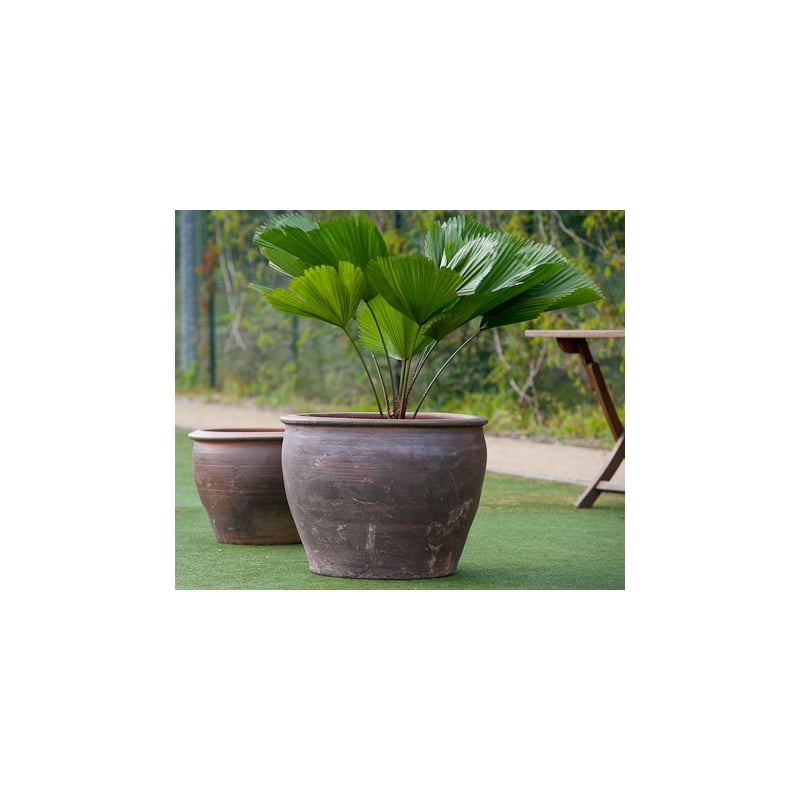 Donica ceramiczna 75.026.40 | DB Thai 40cm