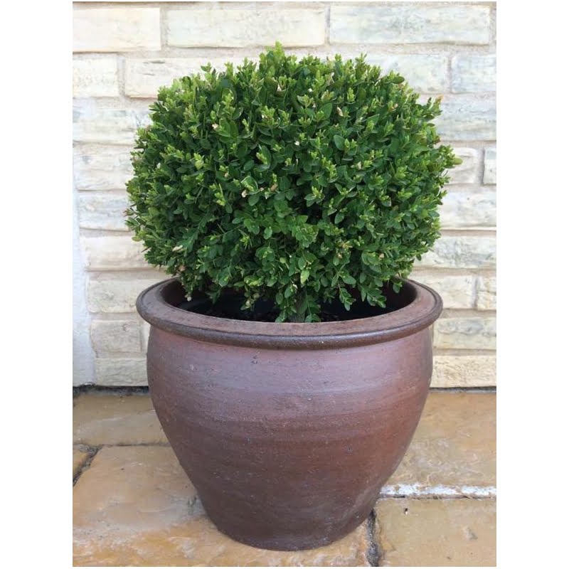 Donica ceramiczna 75.026.50 | DB Thai 50cm