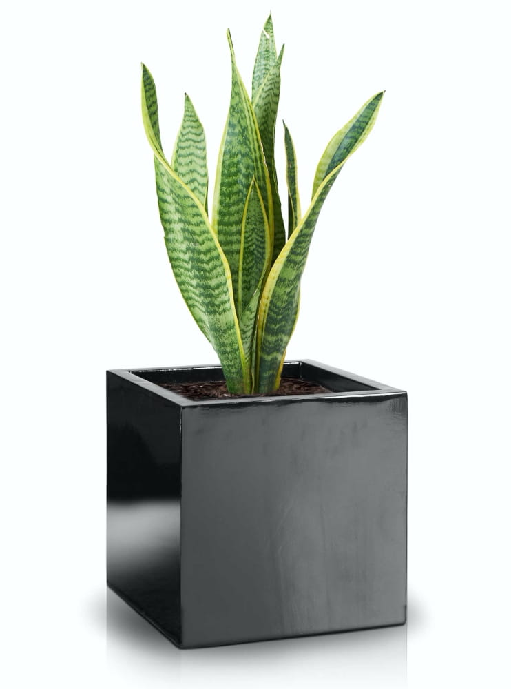 Donica Fiberglass 600 x 600 mm 95.006.60