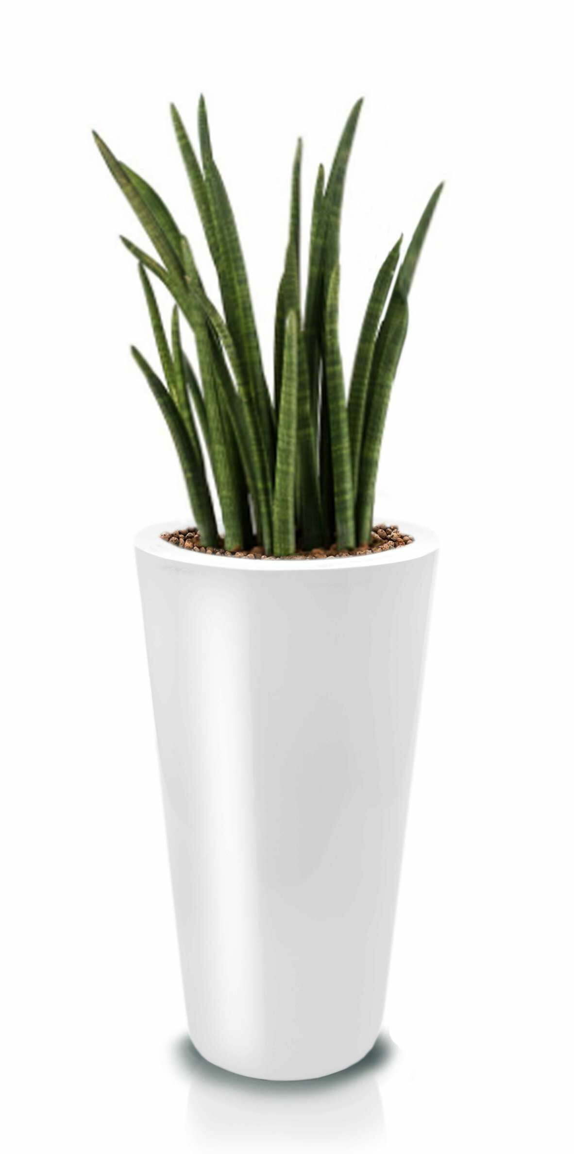 Donica Fiberglass 330 x 620 mm 95.025.62