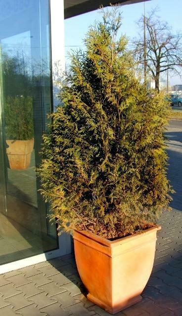 Donica ceramiczna 75.206.48 | Tus Rick-pot 340 x 480 mm