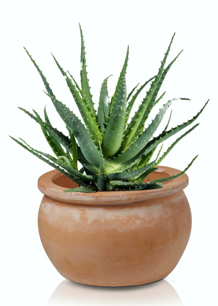 Donica ceramiczna 75.207.38 | Tus Round-pot 380 x 250mm